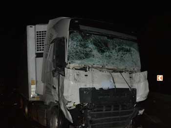 На трассе "Киев-Чоп" Renault лоб в лоб столкнулся с грузовиком, есть жертвы