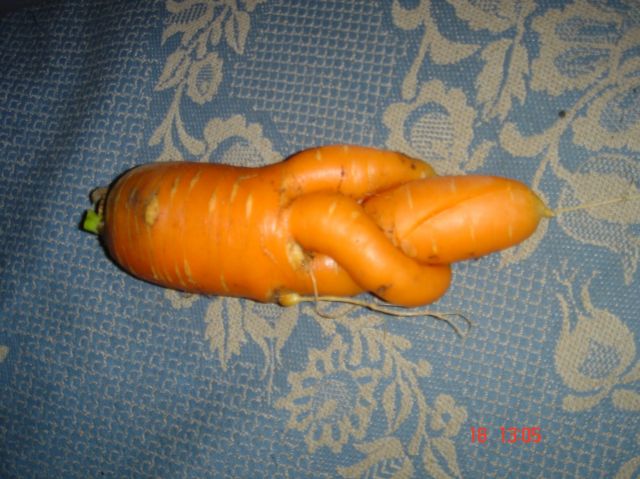p150_8_.jpg