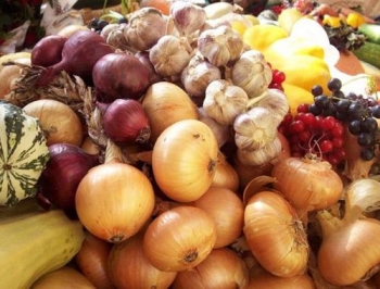 На запорожских ярмарках реализовываются тонны продукции фото