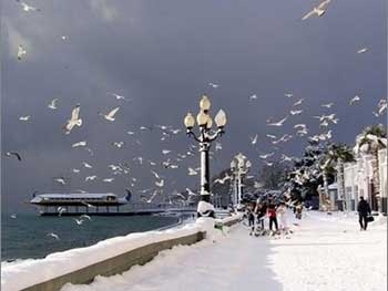 В Крыму выпал первый снег: пляжи опустели фото