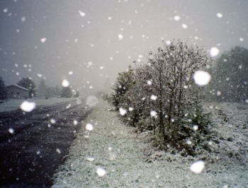 В Украине обещают мокрый снег фото