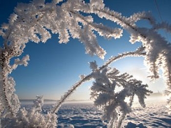 Прогноз погоды: в Украину идет 25-градусный мороз фото