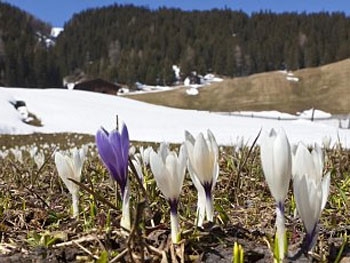 В Украине начинается весна, обещают теплый март фото
