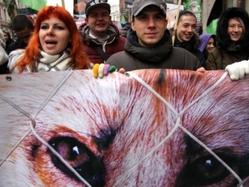 Запорожские зоозащитники вышли на пикет фото