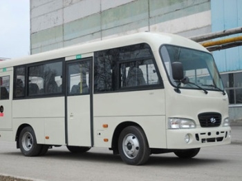 В Тернопольской области перевернулся пассажирский автобус фото