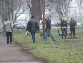 В Мелитополе прошел очередной субботник фото