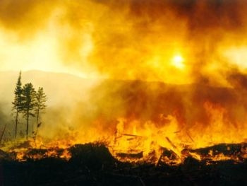 Ситуация с пожаром около ЧАЭС обострилась фото