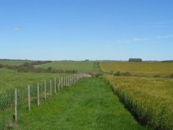 Предприятие бесплатно пользовалась запорожскими землями фото