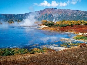 На Камчатке медведь убил рыбака фото