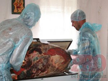 В Бердянске мясо бешеных коров готовили на продажу в общепит фото