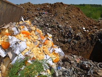 В России бульдозером уничтожили 10 тонн украинского сыра фото