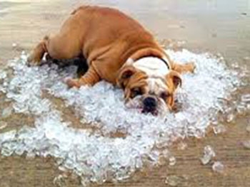 Украинцы будут мучиться от жары до конца недели фото