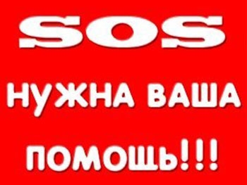 Житель Мелитопольского района тяжело ранен в АТО (реквизиты для помощи) фото