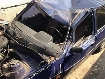 Хозяин машины, на которую в Запорожье упало дерево, будет судиться с коммунальным предприятием фото