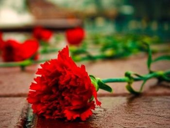 В Крыму за возложение цветов задержали украинцев фото