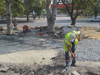 В Мелитополе ради благоустройства снесут десять деревьев фото
