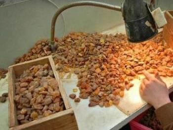СБУ разоблачила цех по переработке янтаря фото