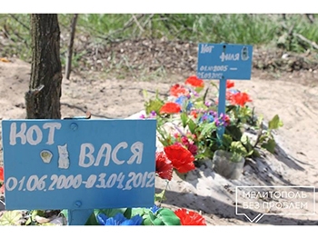 В соцсети показали, как в Мелитополе на одном кладбище хоронят собак и людей фото