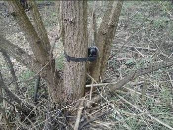 В Гранитном мальчик подорвался на растяжке фото