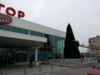 В Мелитополе установили новогоднюю елку фото