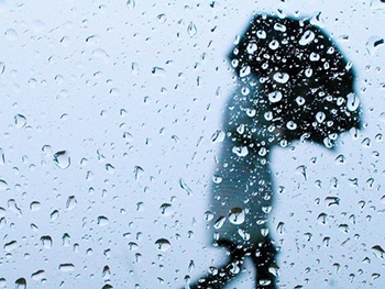 За вчерашний день в Мелитополе накапало больше половины месячной нормы осадков фото