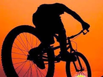 Мелитополец специализировался на кражах велосипедов фото