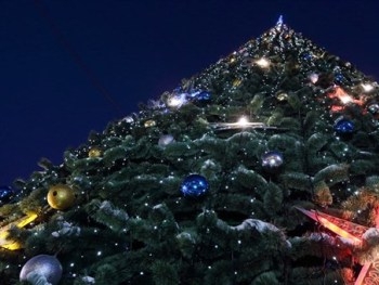 Во Львове упала елка фото