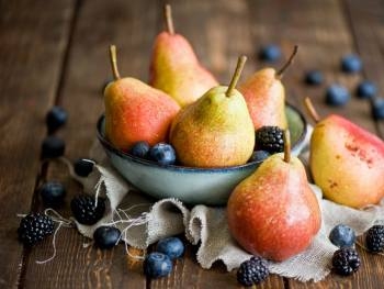 Запорожцев зовут на выставку фото