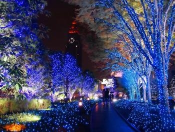 Запорожцев зовут отметить католическое Рождество фото