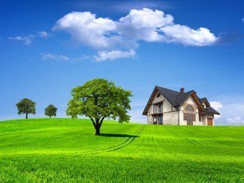 В Запорожской области участникам АТО выделят землю фото