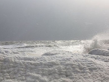 Азовское море сковало льдом фото