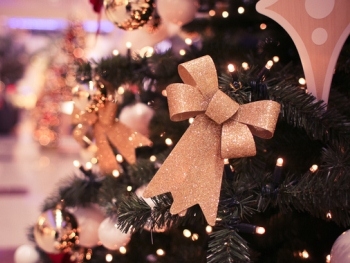 Запорожцы отметят Новый Год на бис фото