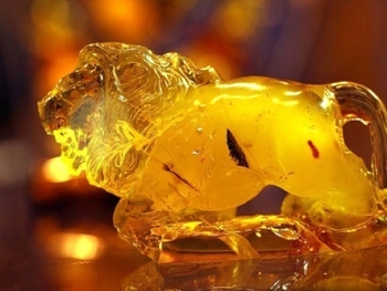 В Киеве поймали банду добытчиков янтаря фото