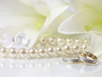 Запорожцы не спешат подавать заявки в ЗАГС по интернету фото