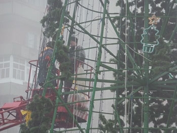 На площади разбирают главную елку Мелитополя фото