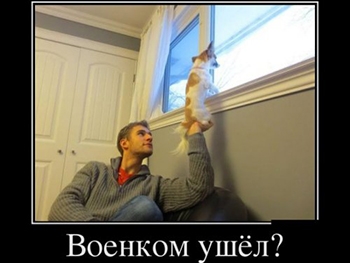 Еще 2 уклониста услышали приговор фото