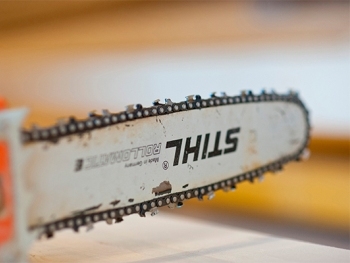 В одном из сел Мелитопольщины вор на праздник... украл бензопилу фото