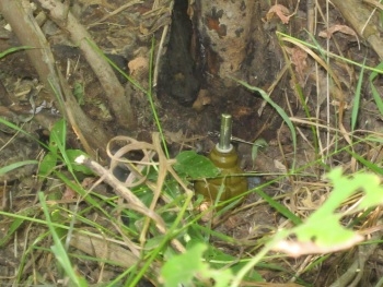 В Станично-Луганском районе на растяжке в лесу подорвались три человека фото