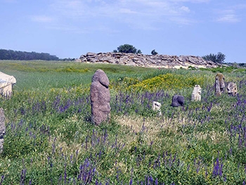 Каменную Могилу будут охранять за деньги фото