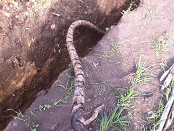 Охотились за «дровосеками» а поймали «металлистов» фото