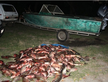 Рыбные дни. Инспекторы задерживают тонны незаконной рыбы фото