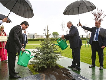 Лукашенко вместе с президентом Туркменистана поливал елку под дождем фото