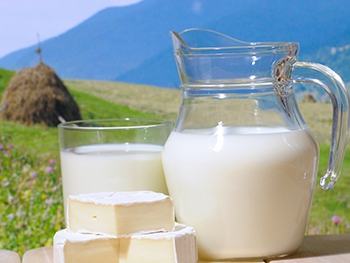 На Мелитопольщине обсудили закупочные цены на молоко для сельхозпредприятий фото