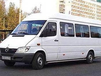 В Запорожье пассажирку прибило дверьми маршрутки фото