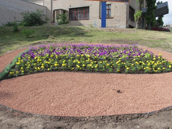 Мелитопольцы раскритиковали фиолетово-желтую клумбу-флаг фото