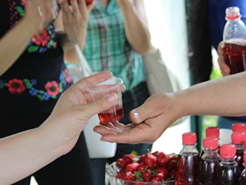 На Мелитопольщине зеленая усадьба работает в музее лесных культур фото