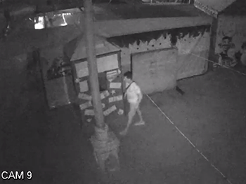 В Мелитополе воры снова засветились под камерами фото