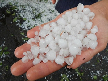 В Запорожской области выпал крупный град (Фото) фото