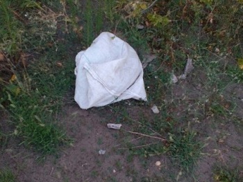 В Мелитополе нашли собаку в мешке и... написали об этом в соцсети фото