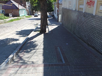 Спуск по улице стал игрой в обнимашки с деревьями фото